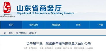 德州再添電商新星 某縣躋身省級示范，雙十一交易額突破三千萬