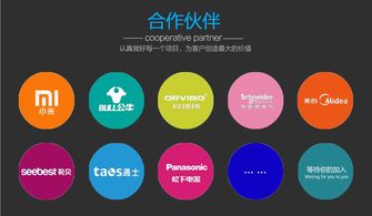 迅速開發(fā)與運(yùn)營(yíng) 智能電器產(chǎn)品的電子商務(wù)平臺(tái)模式探析