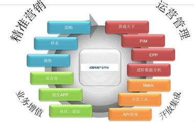 電商運(yùn)營(yíng)高手為何不自創(chuàng)品牌？解析平臺(tái)開發(fā)與運(yùn)營(yíng)的深層邏輯